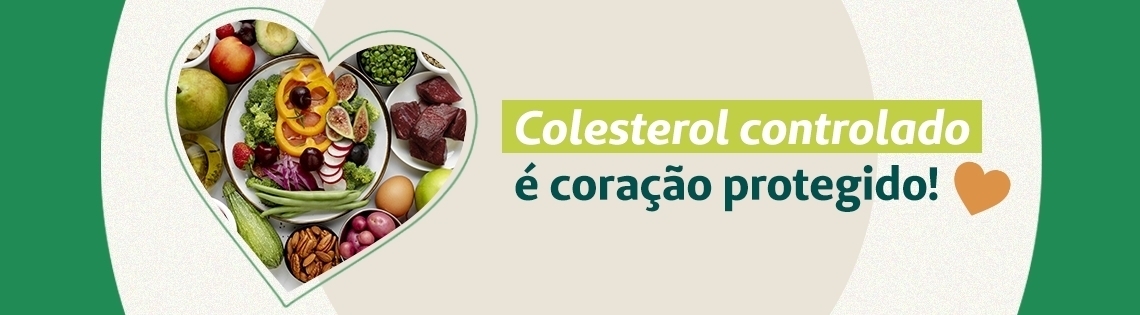 Colesterol 01/08 a 31/08